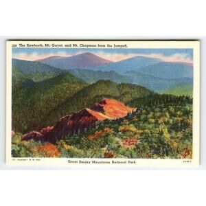 Linen Era Great Smoky Mountains National Park Postcard by W.M. Cline